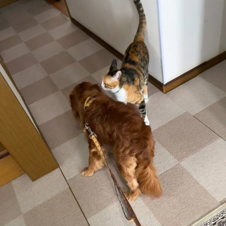 45abc3e1 9b46 49ac 841c 386d5ae8b12a 1719619651034