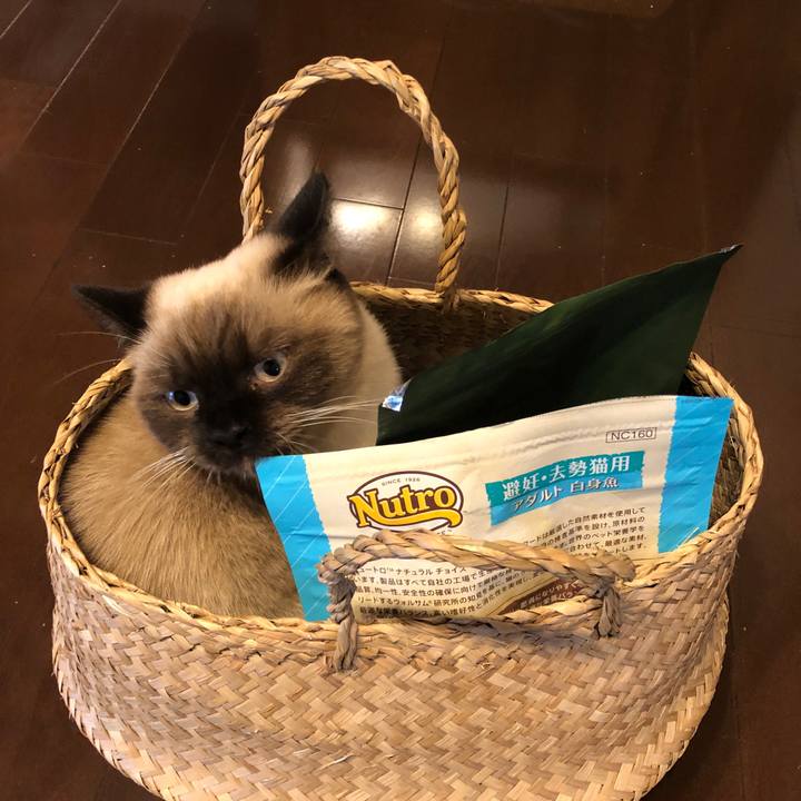 45abe4c0 6f9e 4700 8fe9 06e8bccd2541 1604294277885