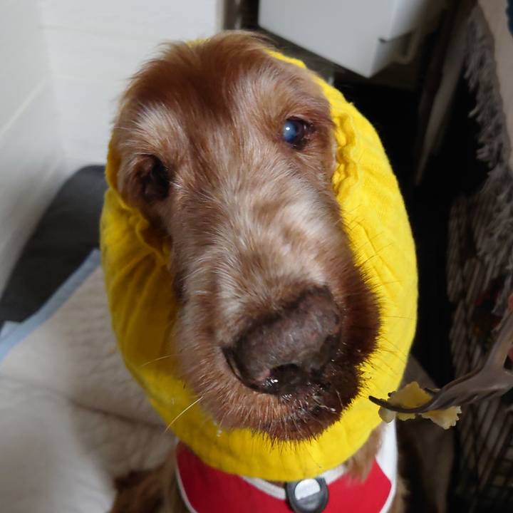 45ac276f e659 4462 ba14 3472c0537d73 1714567888502