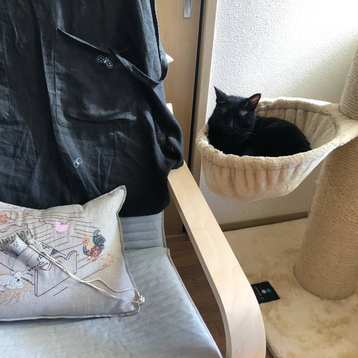 45ac3941 14f7 460c b5f4 c40682f288a2 1635741067070