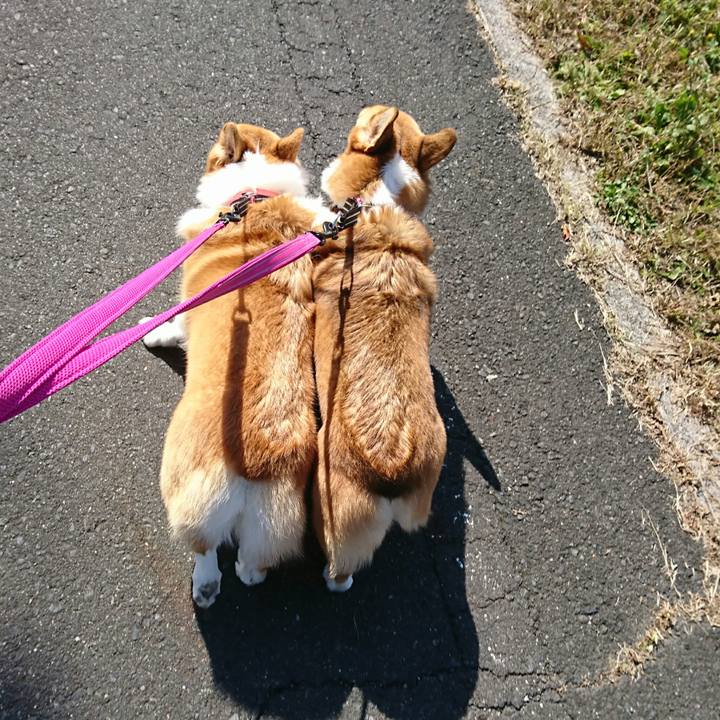 45ac62e3 7e5e 4b8a 838d 3b13108ee2ee 1509692372919