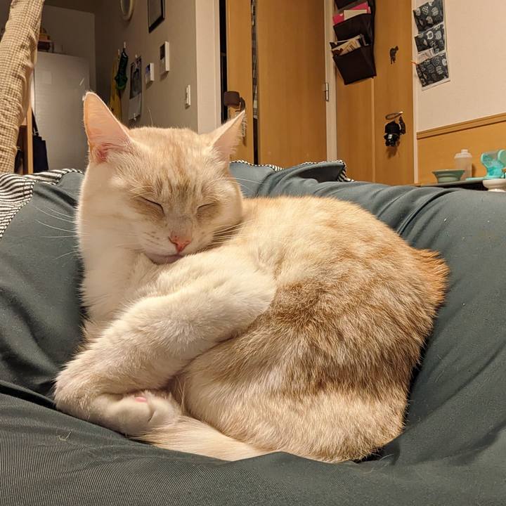 45ac9870 cbca 464c 9f83 0947ee3663a6 1704029986386