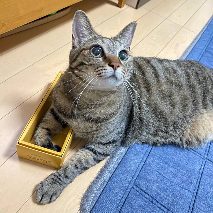 45acaec9 8355 4fa1 bc5f e1a9cfc42069 1661028727533