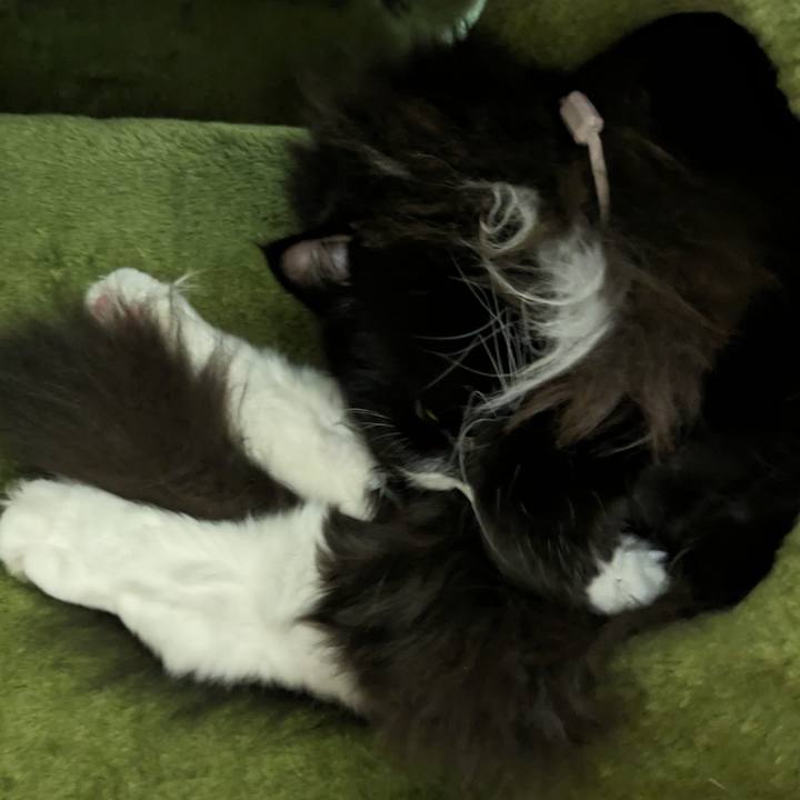 45acbf88 caa6 40ca ac48 0a3f5cf84694 1698715082360