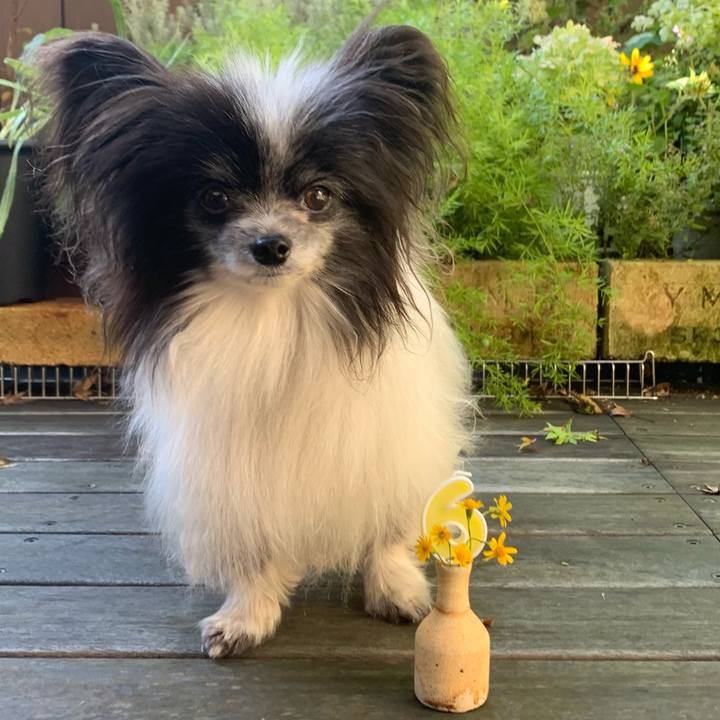 45acc752 7f41 473f a870 669c69981726 1633145408792