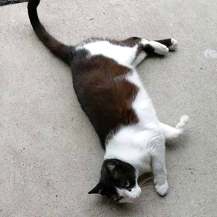 45acdc5e b7b4 4386 867c 6c9aa631d67b 1593314871539