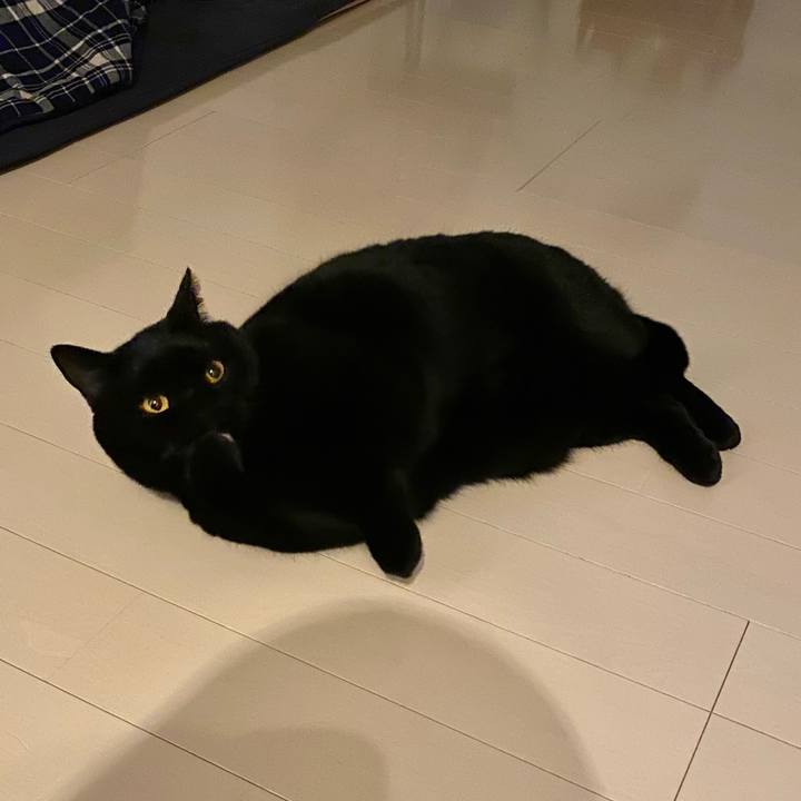 45ace65c a21c 4080 8822 4e6d0002d27b 1611739108903