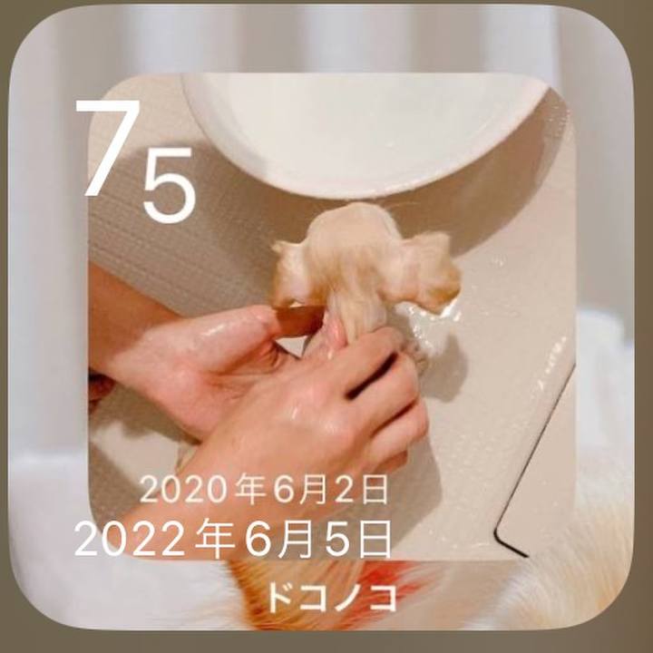 45ad0a1a b367 4eff 847b 372127cbd84f 1686136944299