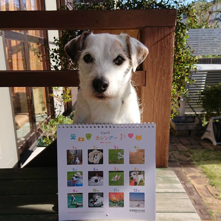 45ad146d 9670 46fc 9890 d6a6de6ca84a 1575078094599