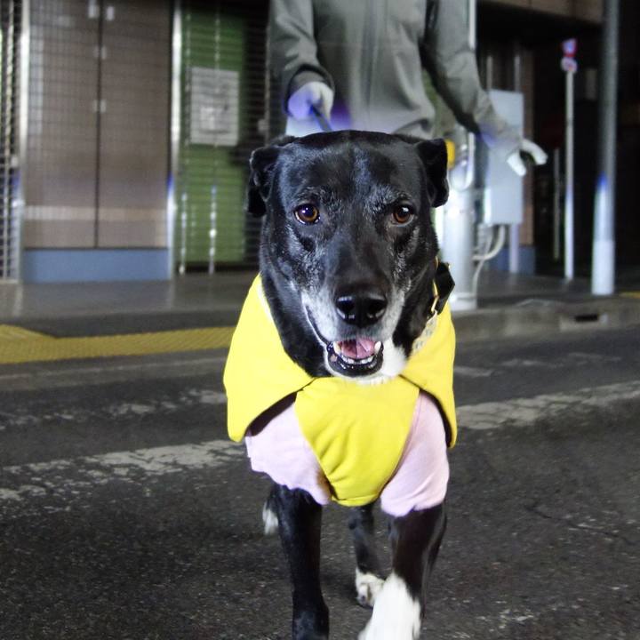 45ad186f afe1 458b 8e84 071b7edf1012 1740135719596