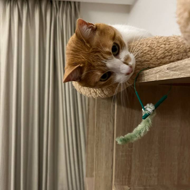 45ad3196 3c34 4924 a5dc 37f7d806da7e 1679477641921