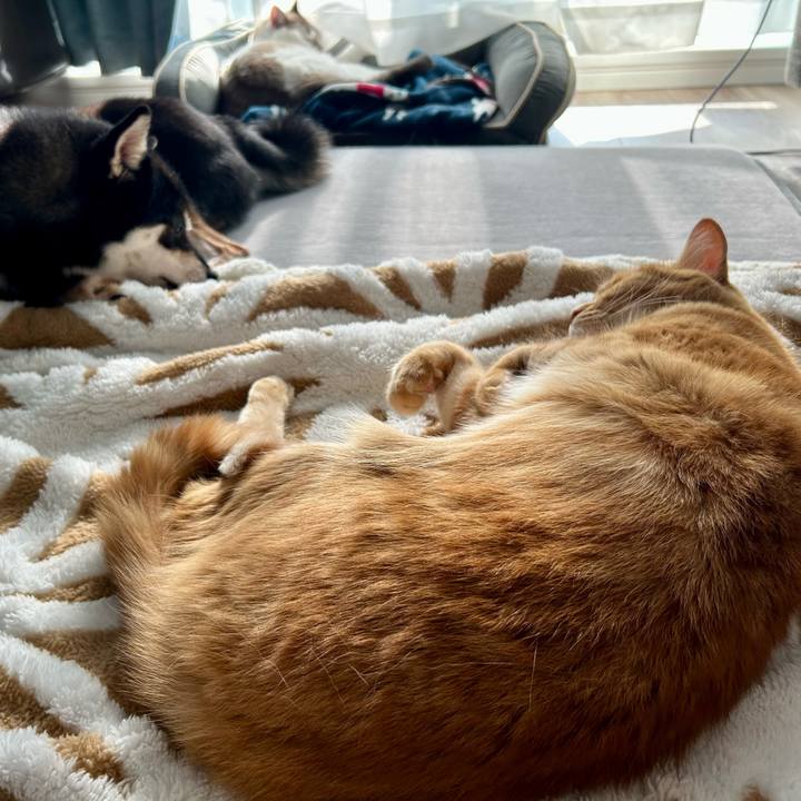 45ad3687 8cb3 4af3 94c4 a55fb281a2cb 1699073395596