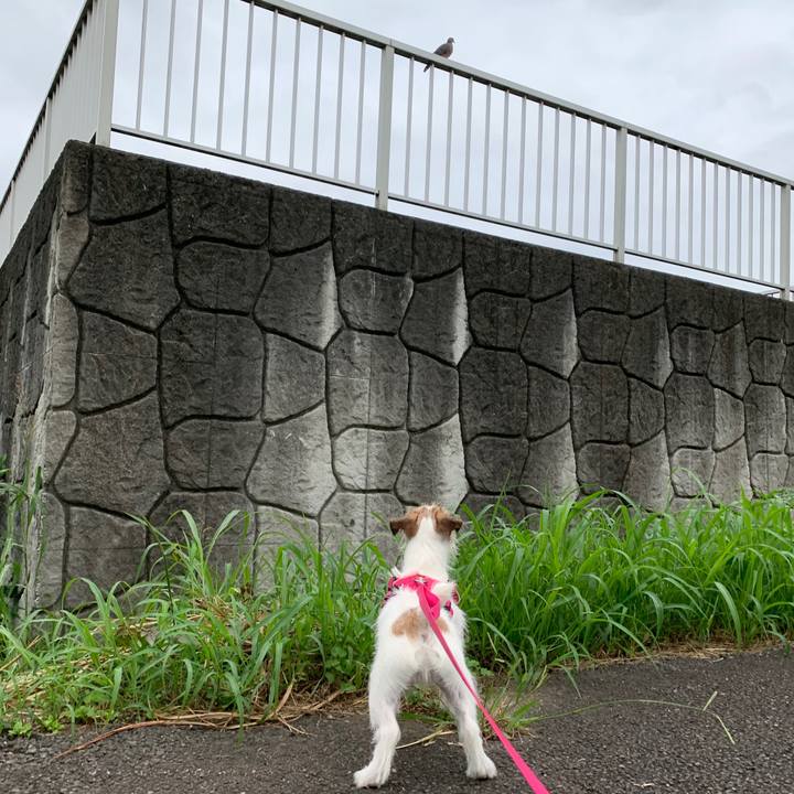 45ad3df9 2492 44d8 b7f9 6a3915a81335 1567598577189