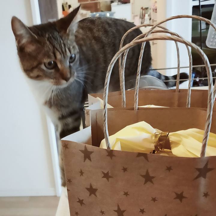 45ad7a9b 8b1e 4a48 a882 43fbd9d1ad41 1640325922294