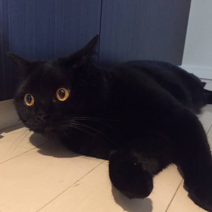 45ad7d7e 4f61 4c6d a348 5699bc4de19e 1562278065647