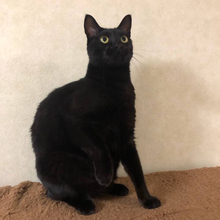 45ad8523 8296 48d9 afca a94619f7d1cb 1550109826563