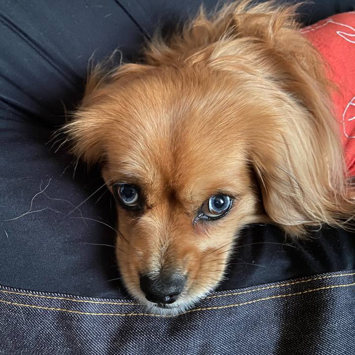 45ad8815 691d 4cc9 83aa 86fa9c3c014c 1583446278103