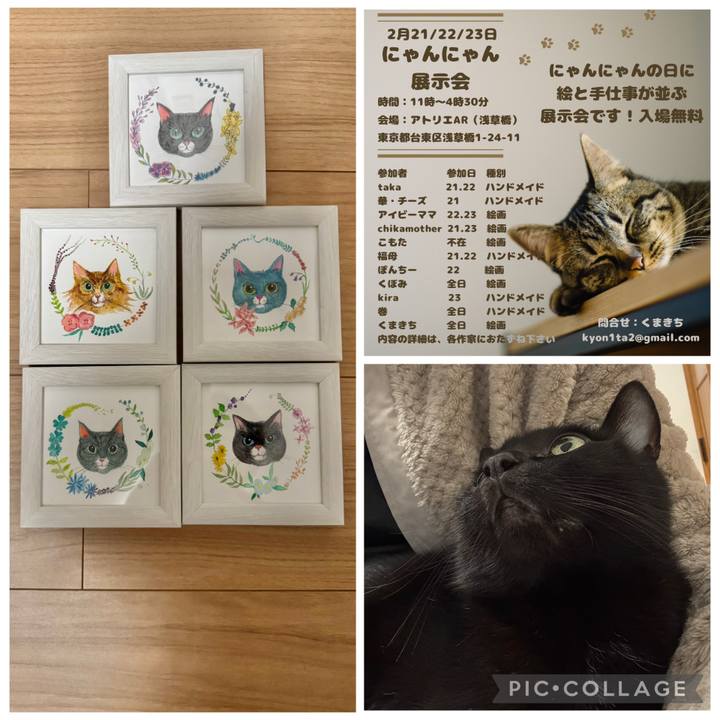 45adb5a7 02ae 432e 9635 ae408e2f06f5 1771413230106