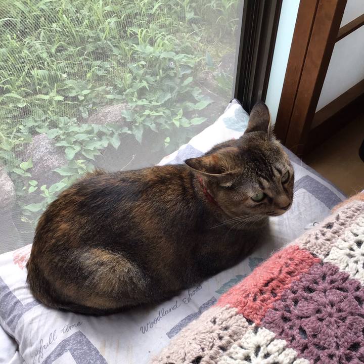 45ade90c 22e1 4070 be5c 9aa0cf344742 1630890133790