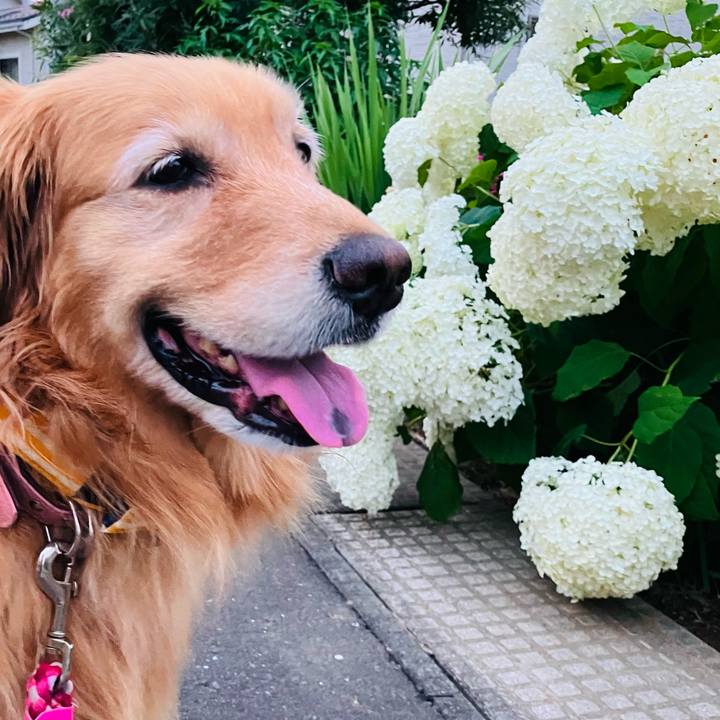 45ae1437 e3ec 4157 8162 33997e3c8b4c 1719318677460