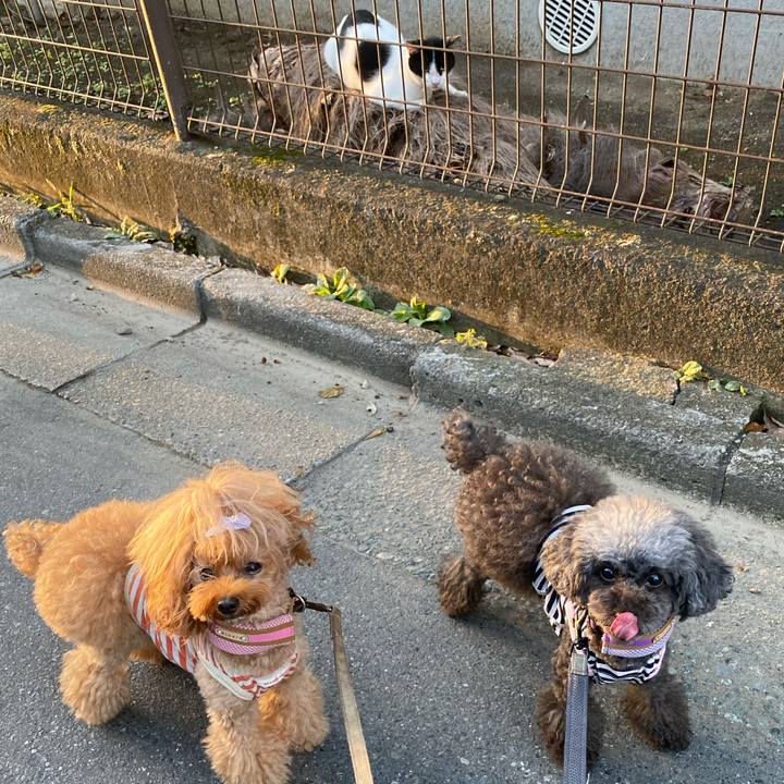 45ae33e2 377e 4f16 aadd d53ad4435580 1634339631151