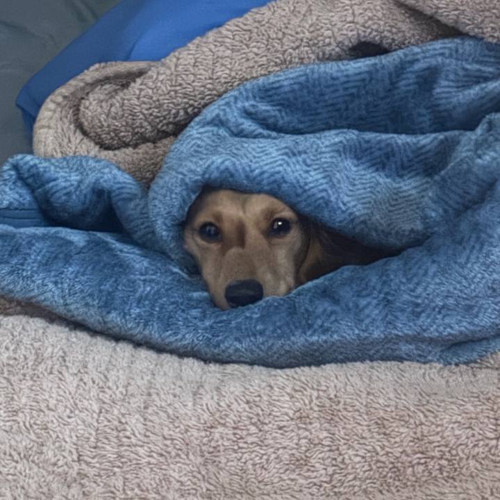 45aeb6cf df69 4306 85ce c7ca1c88bb0c 1769254001890