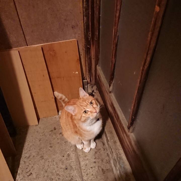 45aec100 86ed 43d9 9f14 2b3ba245217d 1604658204848