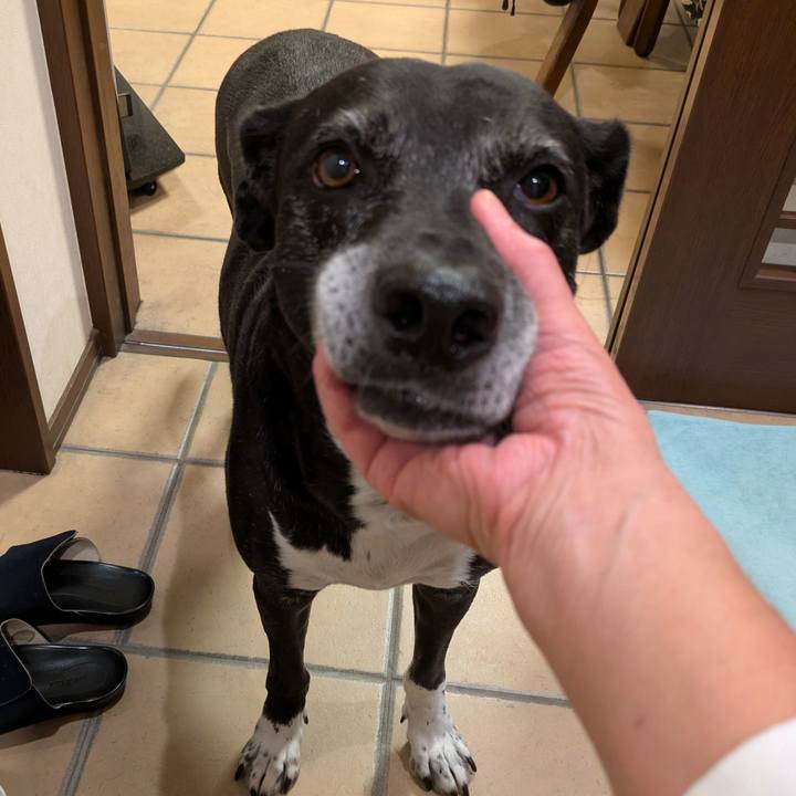 45af0535 80bb 4534 b9d8 21b9648d2529 1760613123279