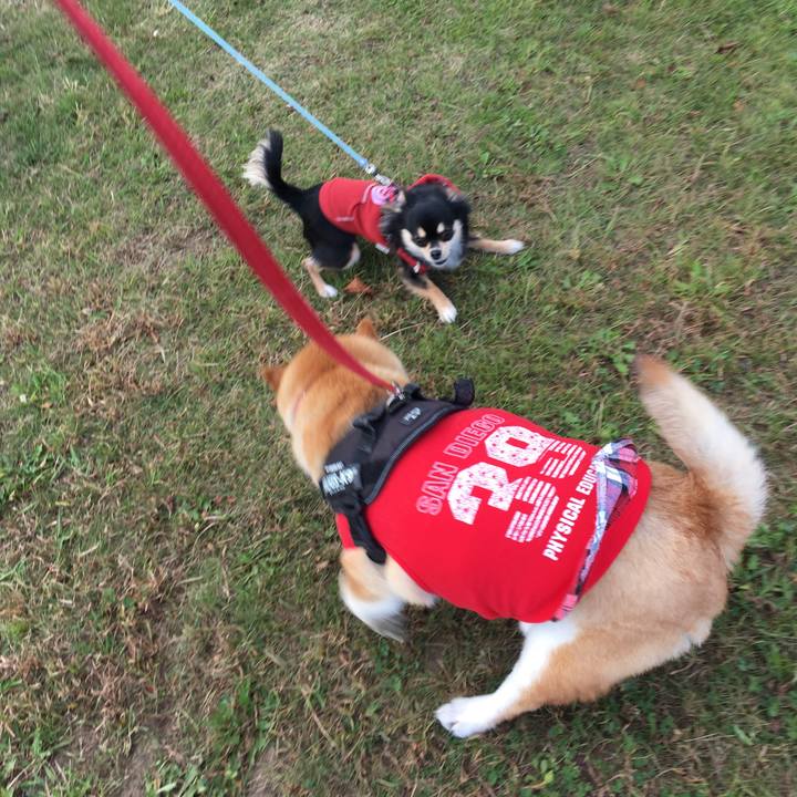 45af0e21 1c5b 4872 aa96 75b741a97046 1606611204552