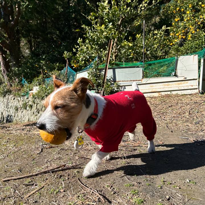 45af0ee7 8fe6 44bf 90d2 488258fe280d 1768357587482