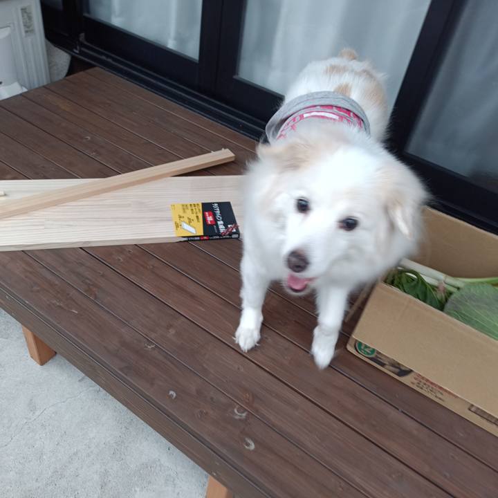 45af1a5f c3e6 4bb0 987c a37328e9e250 1707651758290