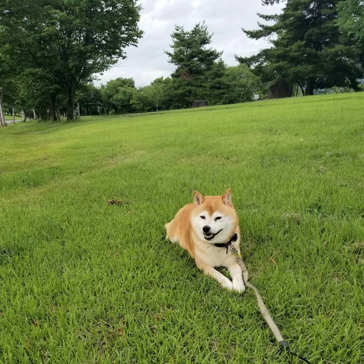 45af332b ed67 4ef6 a226 19f80890d549 1625472772018