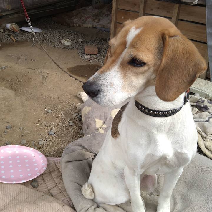 45af3590 702c 49a5 b749 420a73063a3d 1646374203579