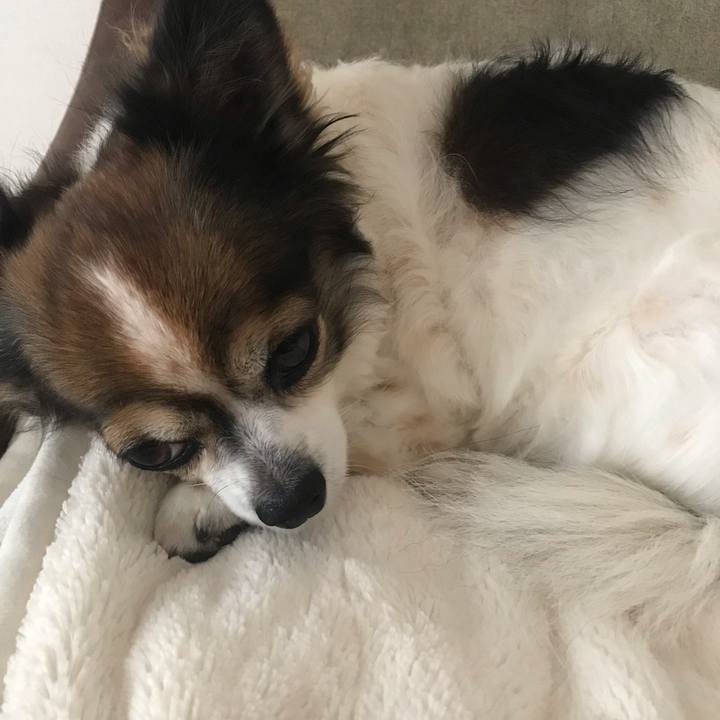 45af86ee 092a 47f7 9517 0a34cebc3a13 1666588140184