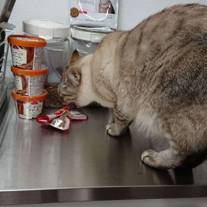 45afae66 d69e 42af 87a6 fdd593cb33e8 1519098489063