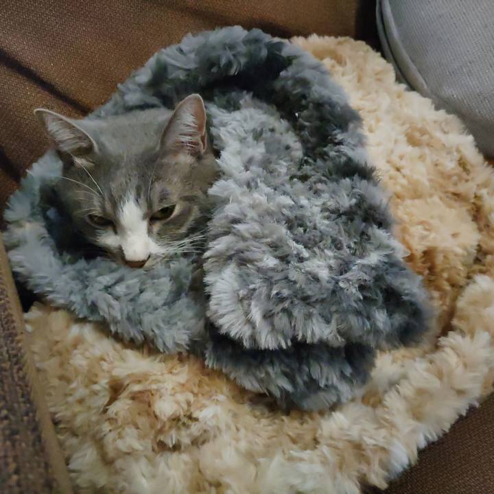 45afb2db 930f 4dde bd84 09db3700f46e 1666582773637