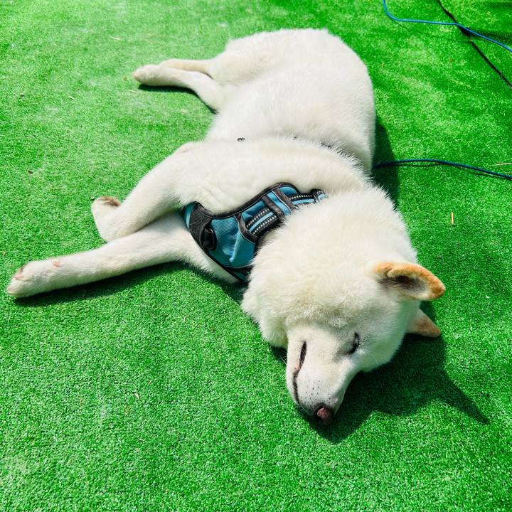 45afb975 ab02 4ddb 8676 ca207e53c4ff 1721192571271