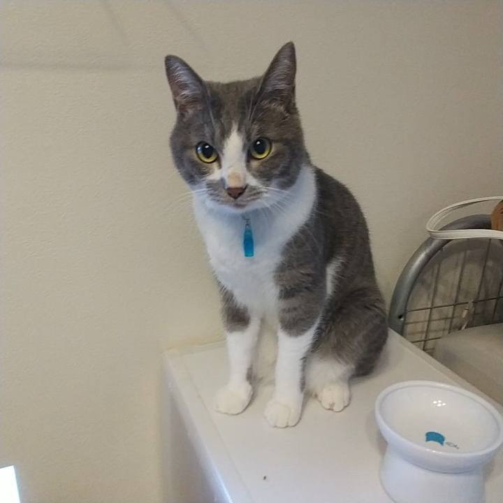 45afc3c4 c38c 4d55 8552 ae7174c141ce 1627597430553