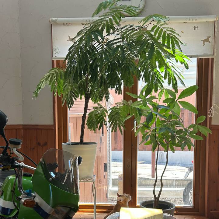 45b0109d a4c5 428f bc5f bfec93e717d6 1691211087040