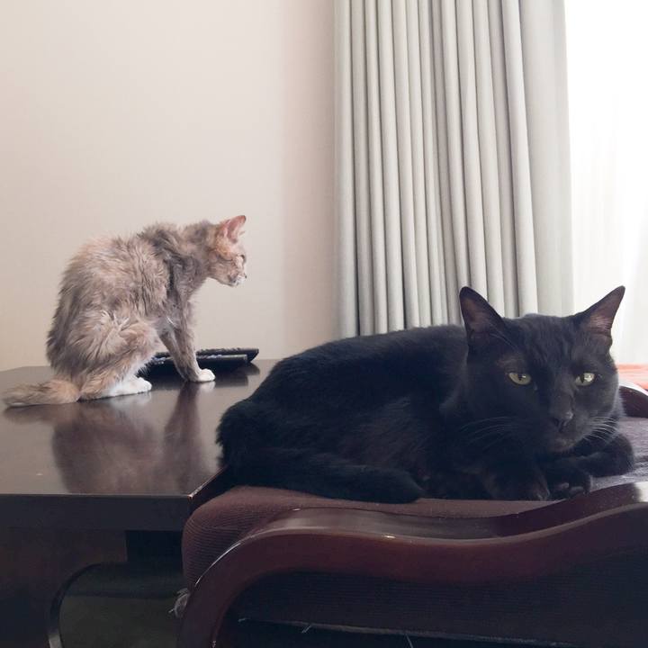 45b02cf8 58cf 412f 91cc 76d3514b87d5 1588582204166