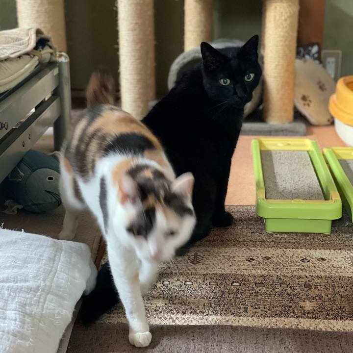 45b04e2b 7f96 419d a04e ebb72a1a8eed 1651370946992