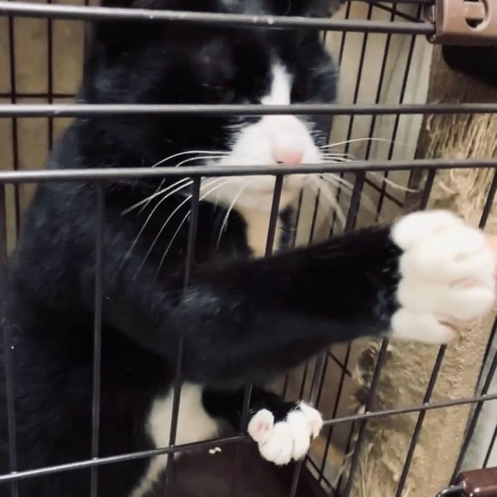 45b05887 6b73 4005 9a35 6d61e6b39148 1740537739453