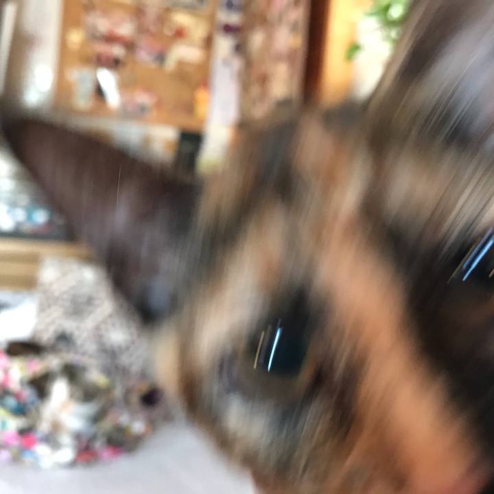 45b06e0c 202e 4153 9b75 7ef52270125c 1603056881241