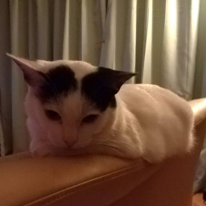 45b0a803 a537 48d5 8025 27fd198d5eaa 1529673305009