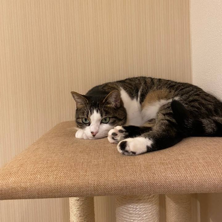 45b14c01 3843 4a71 98f6 cdd268bdaded 1606908573859