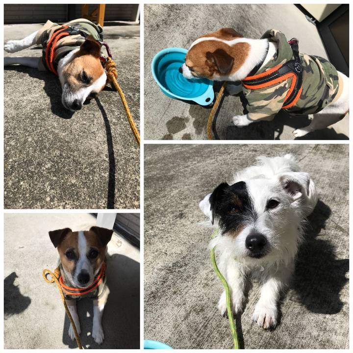 45b17f8e 0540 4316 9880 9314762afe5b 1526257430906