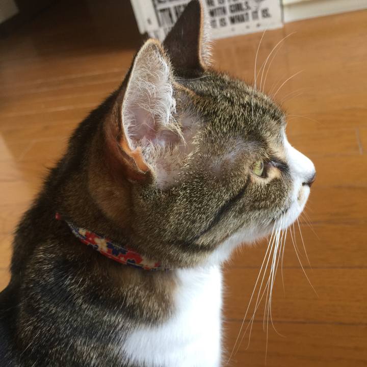 45b1baaf 4149 427e 9768 37a48bd938a4 1554522102368