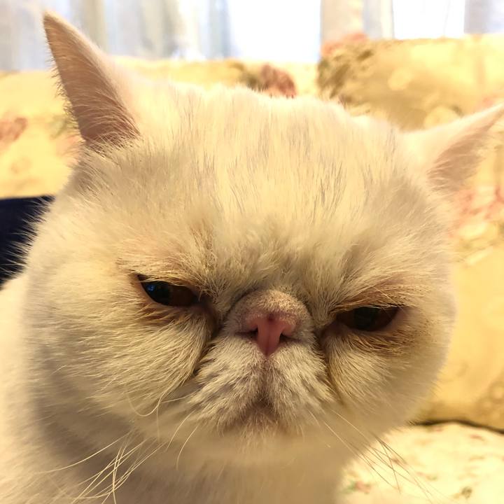 45b1be00 56cc 49e1 bdcf e3d6749c2f7c 1605014408922