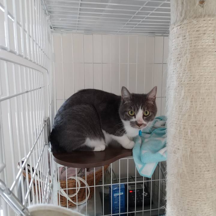 45b1c5f7 96a4 4c7b b653 1ed2bf8867e3 1600143856327