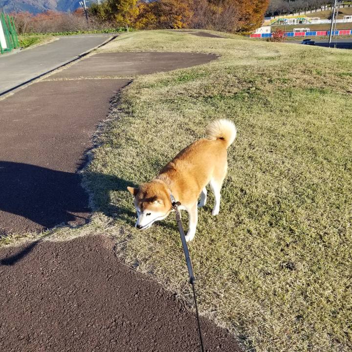 45b2128c 4ba9 4712 bea4 c3e87504cb84 1667716322889